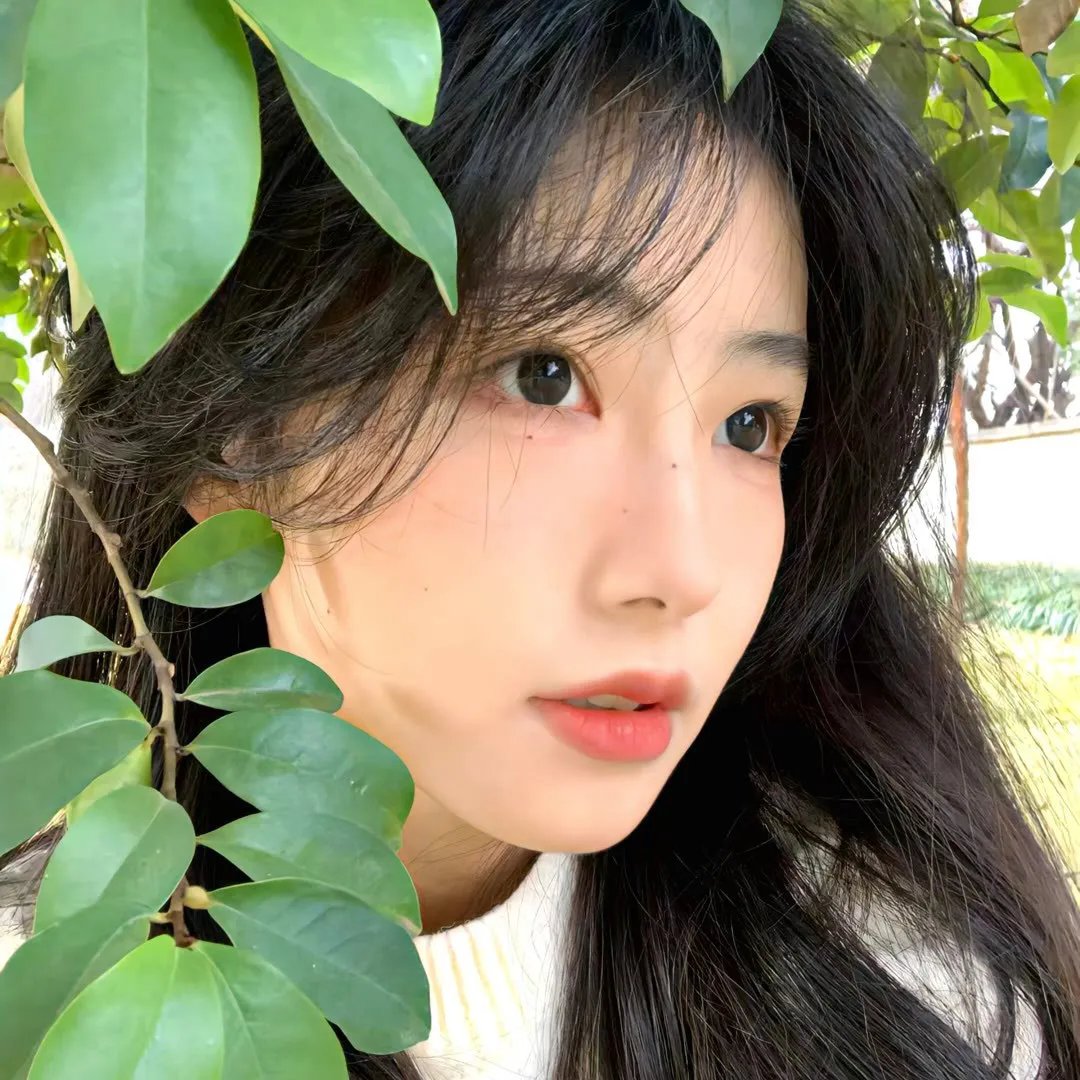 你好生活第四季