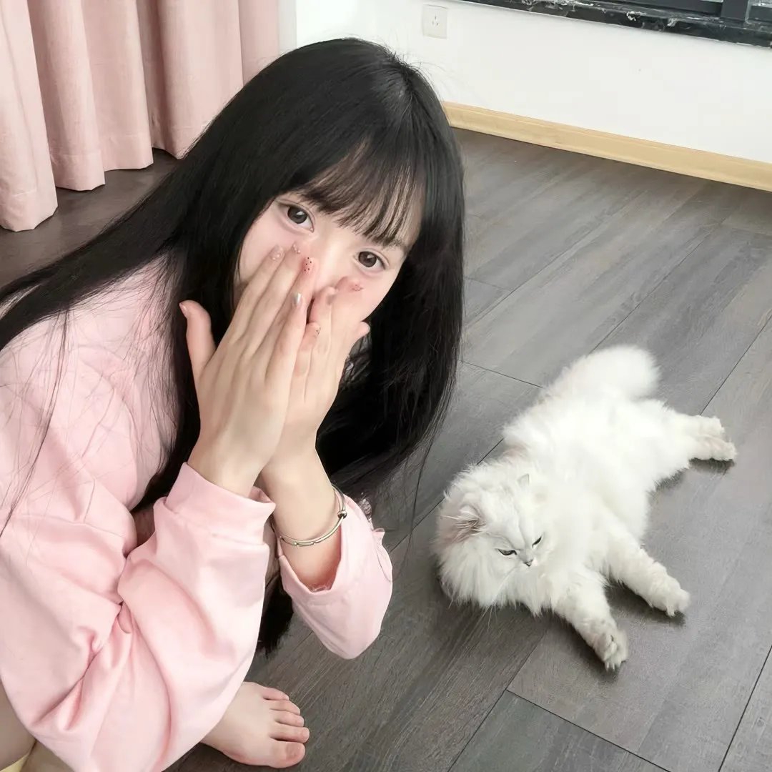 一袋锤子